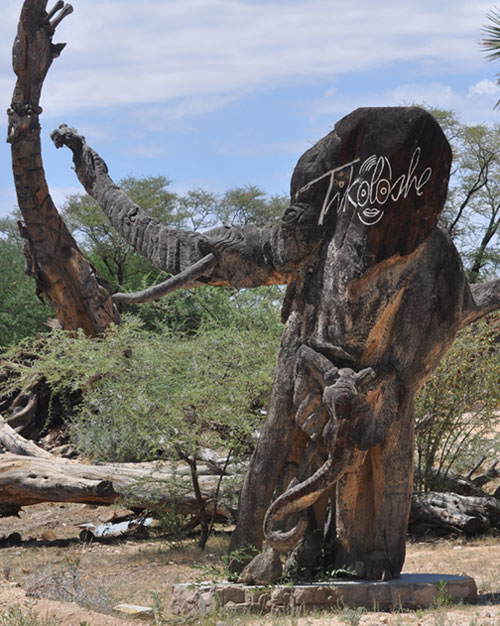 Tikoloshe Afrika carved tree