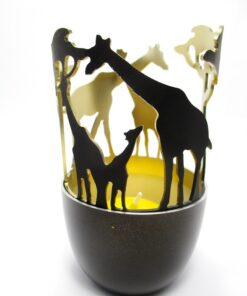 Candle light African Giraffe