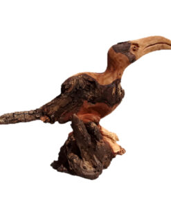 Hornbill