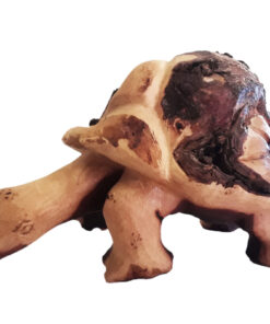 Tortoise