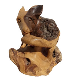 Jackal cub