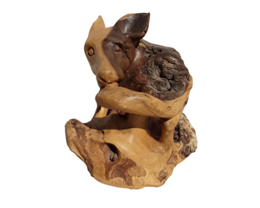 Jackal cub