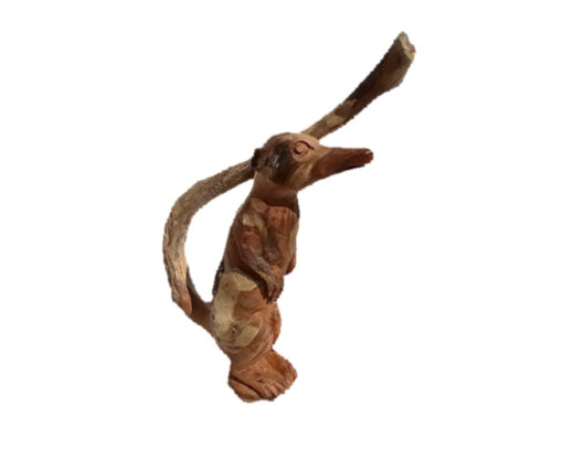 Meerkat