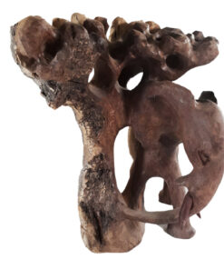 Elephant with tree