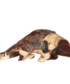 Pangolin