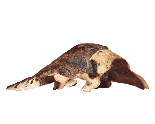 Pangolin