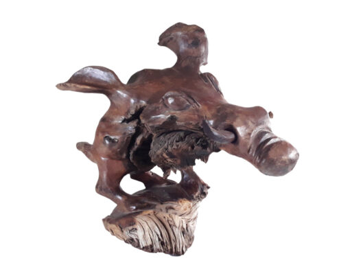 Warthog