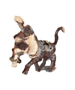 Warthog