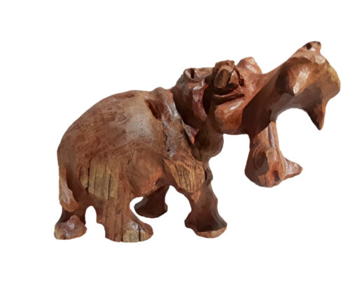 Hippopotamus