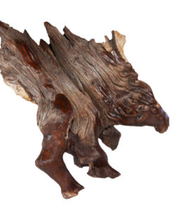 Porcupine