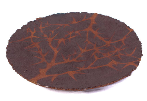 Sand Plate Acacia