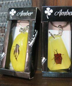Insect Keychains