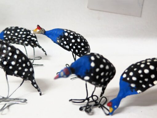 Painted Pod Guinea Fowl