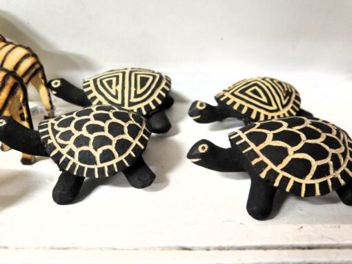 Wooden Tortoises