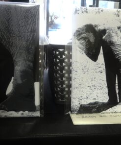 Monochrome Elephant Prints