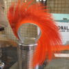 IMG 4647